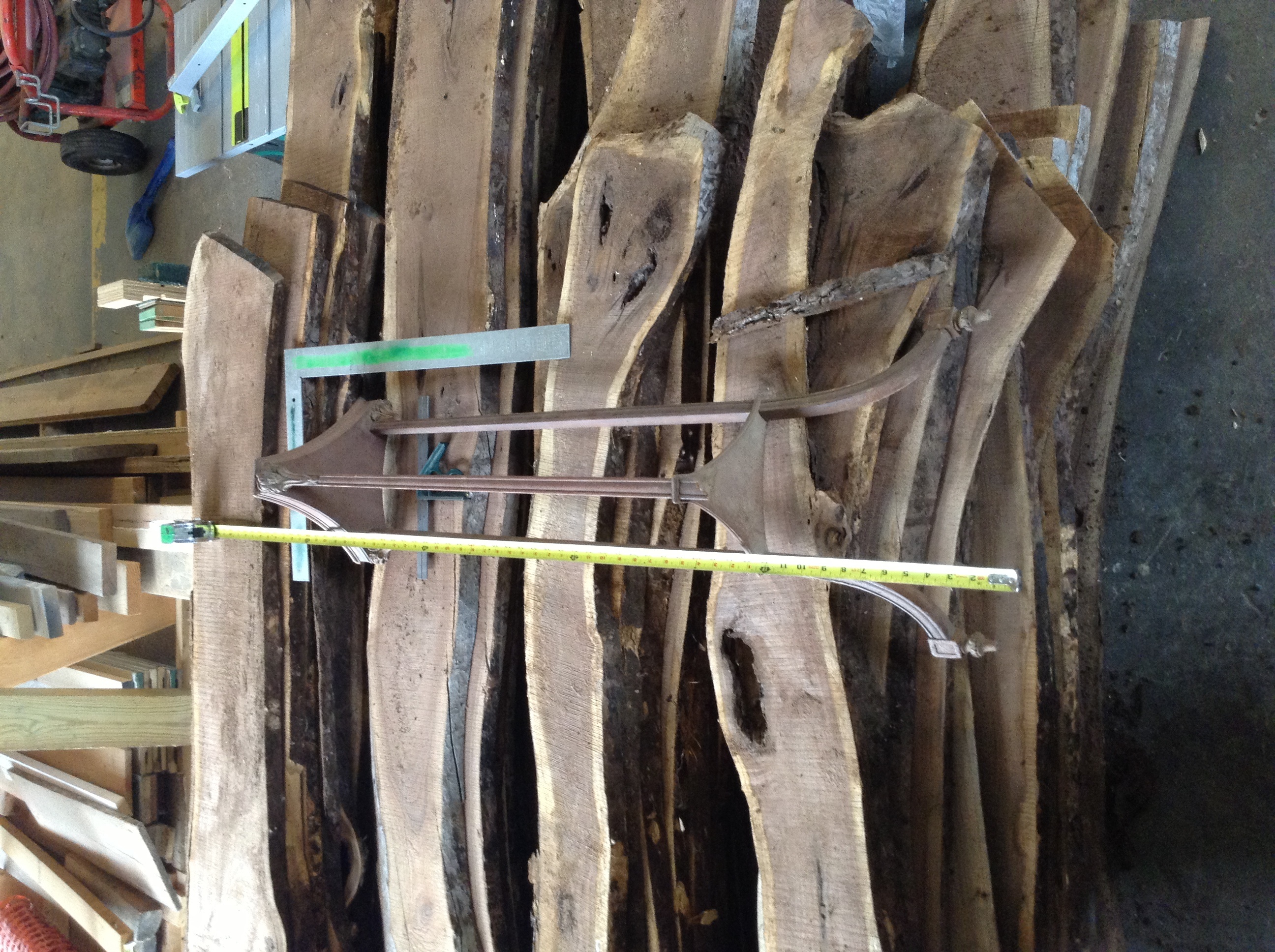 Hardwood Anatomy The Wood Database