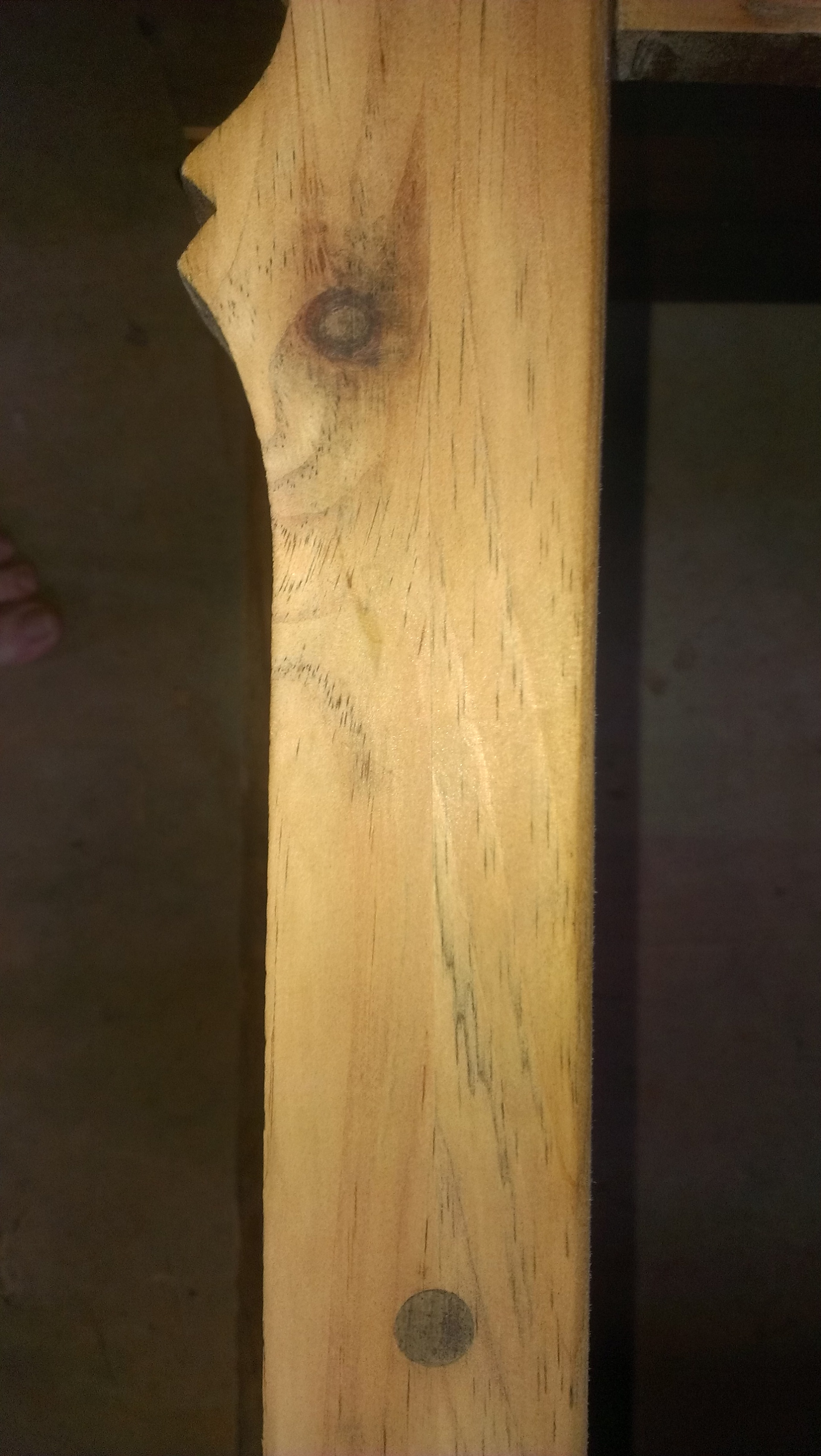 Hardwood Anatomy The Wood Database