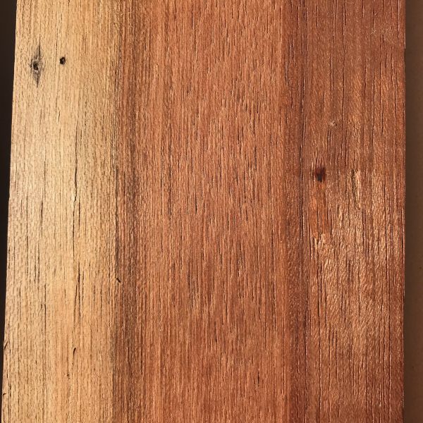 Jatoba The Wood Database Lumber Identification (Hardwood)