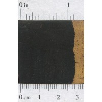 African Blackwood (endgrain) African Blackwood (endgrain)
