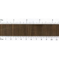 Afrormosia (endgrain)