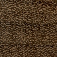 Afrormosia (endgrain 10x)