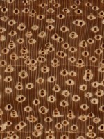 afzelia-endgrain-zoom-jh