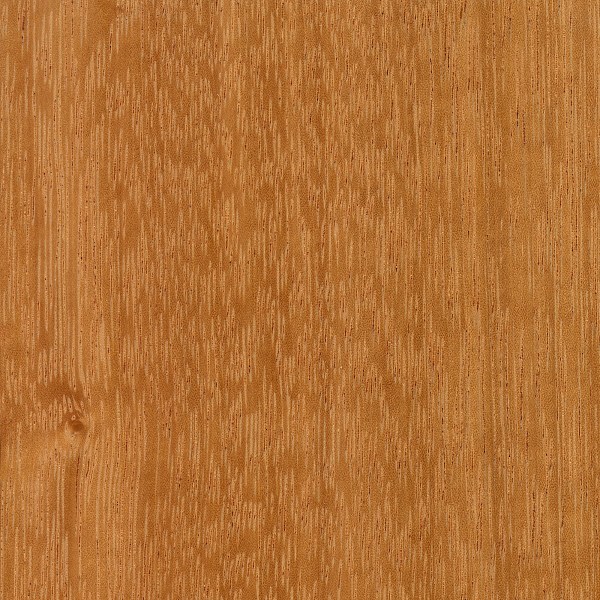 Afzelia | The Wood Database - Lumber Identification (Hardwood)