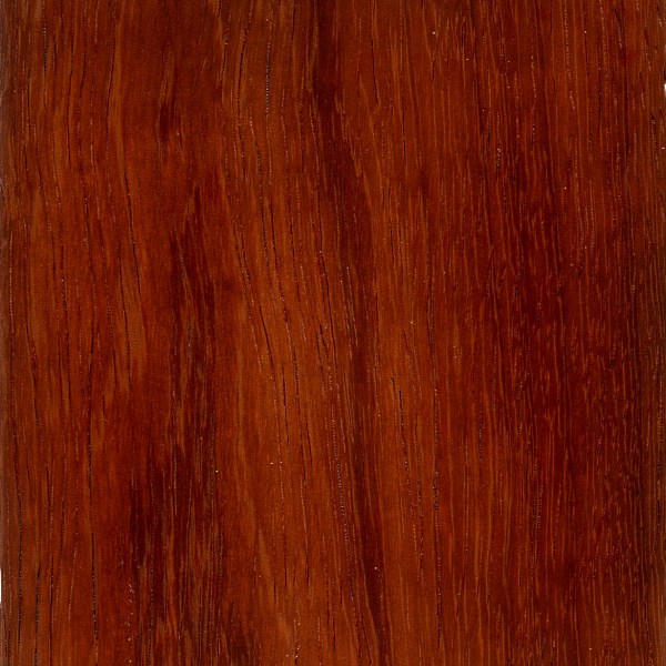 Andaman Padauk The Wood Database - Lumber Identification 