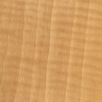 Anigre (curly veneer)