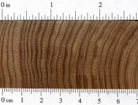 Australian Blackwood (endgrain)