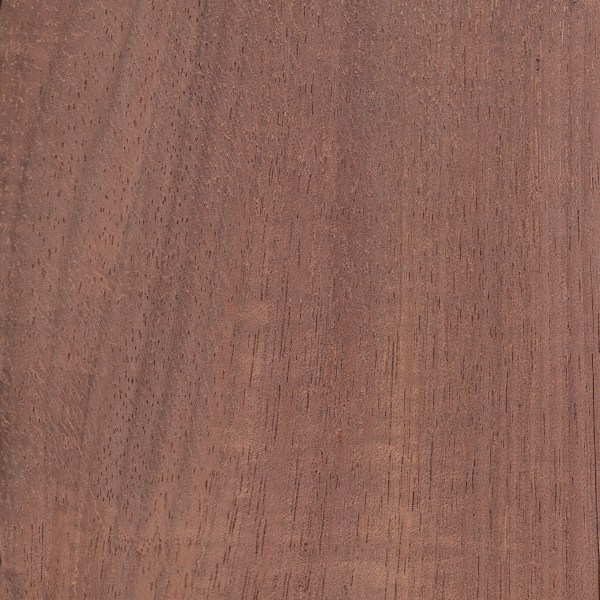 Australian Black Wood