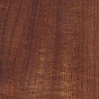 Australian Blackwood (sealed)