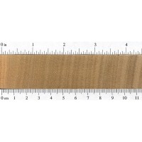 Avodire (endgrain) Avodire (endgrain)