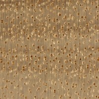 Avodire (endgrain 10x) Avodire (endgrain 10x)