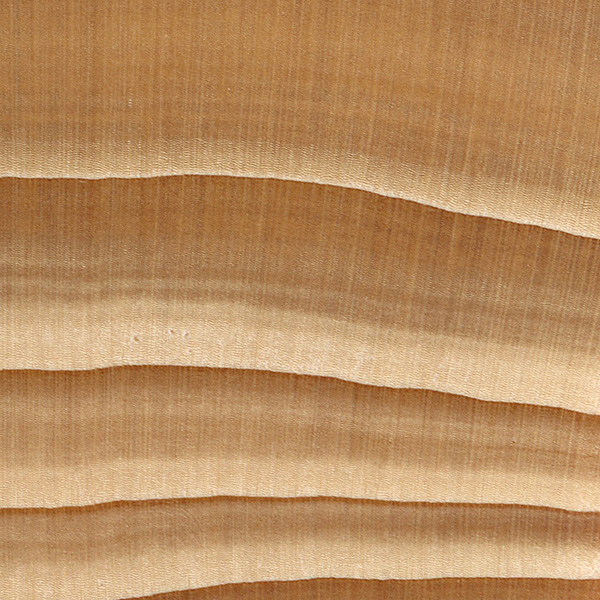 Balsam Fir The Wood Database Lumber Identification (Softwood)