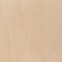 Basswood (Tilia americana)