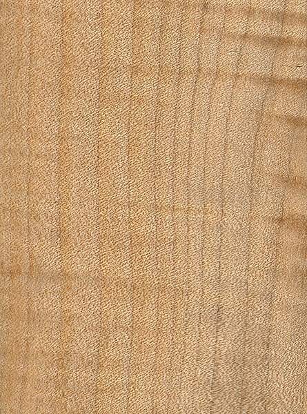 big leaf maple wood for sale