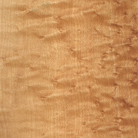 Birdseye Maple