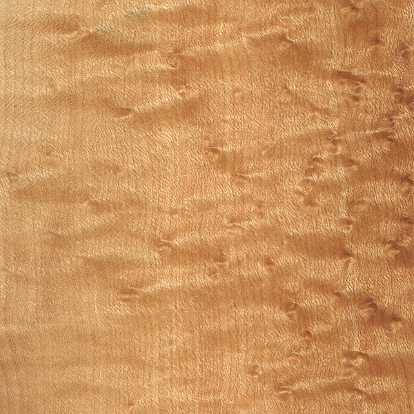 birdseye maple