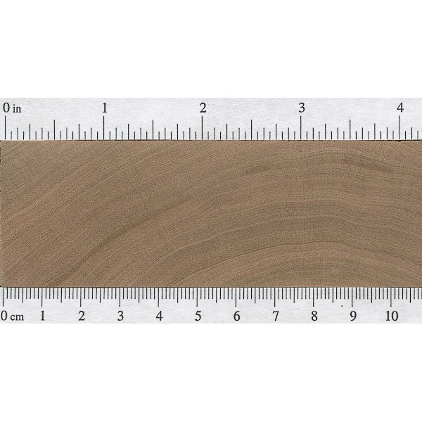 Black Cherry The Wood Database Lumber Identification (Hardwood)