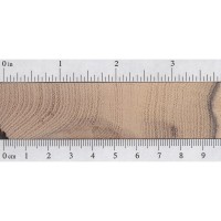 Black Locust (endgrain) Black Locust (endgrain)