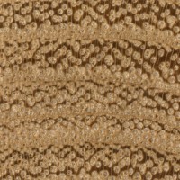 Black Locust (endgrain 10x) Black Locust (endgrain 10x)