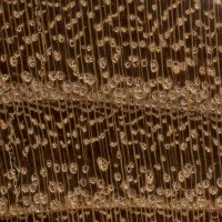 Black Locust (endgrain 10x) Black Locust (endgrain 10x)