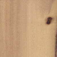 Black Locust (sealed) Black Locust (sealed)