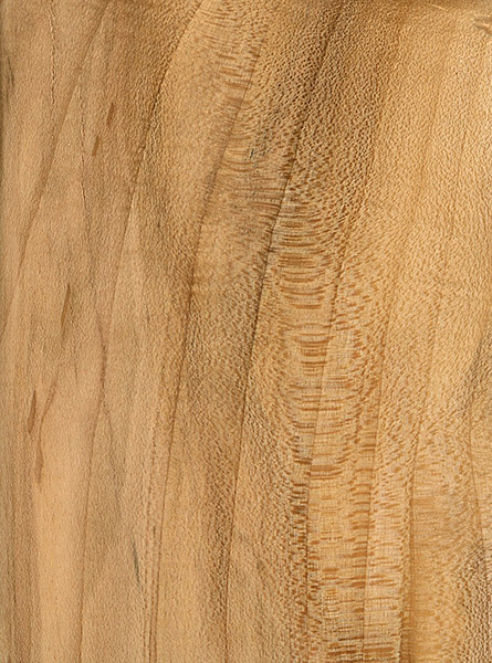 Black Maple | The Wood Database - Lumber Identification (