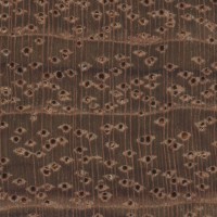 Bubinga (endgrain 10x)