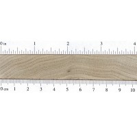 Butternut (endgrain)