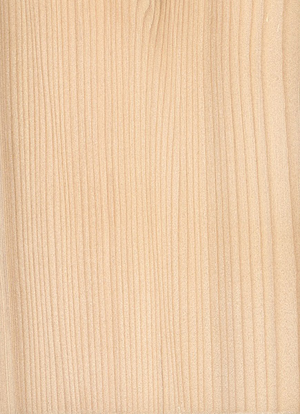 california-red-fir.jpg