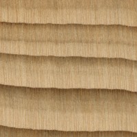 Cedar of Lebanon (endgrain 10x) Cedar of Lebanon (endgrain 10x)