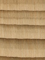 cedar-of-lebanon-endgrain-zoom-s