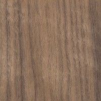 Claro Walnut (Juglans hindsii)