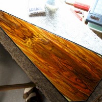 Cocobolo (kaleidoscopic colors)