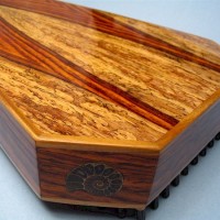 Cocobolo (figured sapwood)