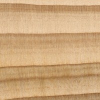 Cypress (endgrain 10x)