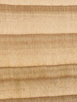 cypress-endgrain-zoom