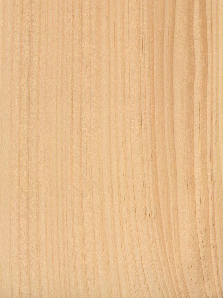 Pine Wood Pine Wood Identification