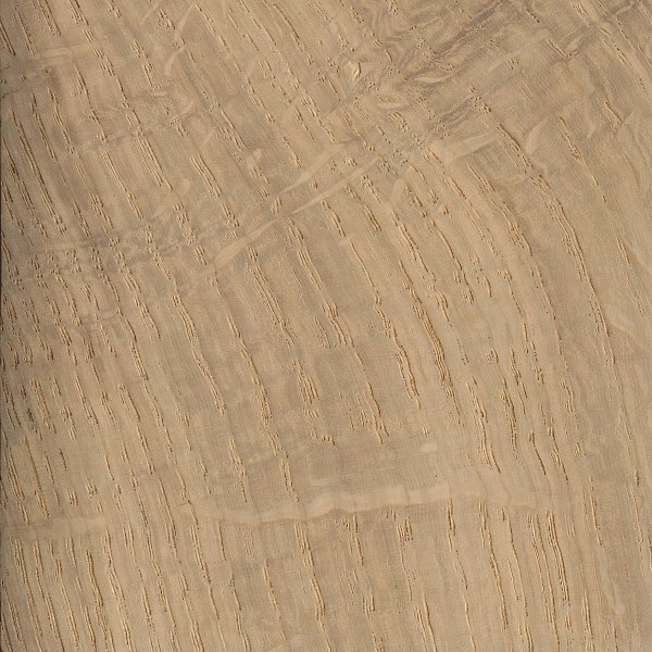 English Oak