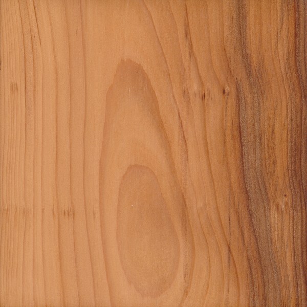 Wood For Sale Yew Wood For Sale