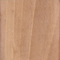 European Beech (sealed) European Beech (sealed)
