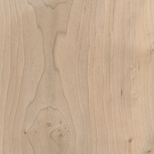 Field Maple | The Wood Database - Lumber Identification (