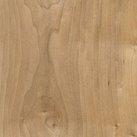 Field Maple (sealed) Field Maple (sealed)