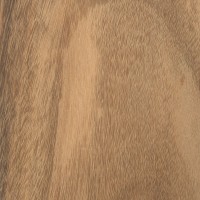 Goncalo Alves (Astronium graveolens)