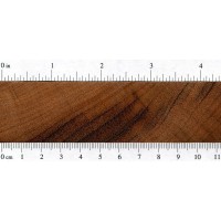 Goncalo Alves (endgrain)