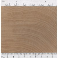 Hard Maple (endgrain)