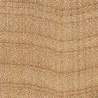 Hard Maple (endgrain 10x) Hard Maple (endgrain 10x)