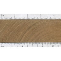 Honduran Mahogany (endgrain)