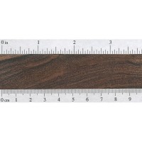 Honduran Rosewood (endgrain)