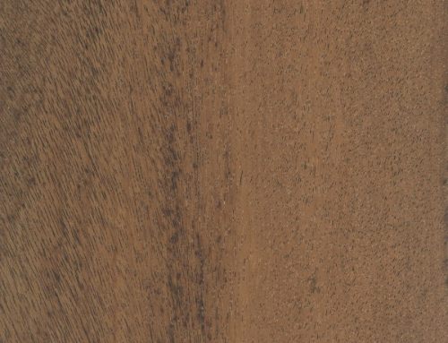 Most Expensive Wood For Furniture Making In India Natural Living