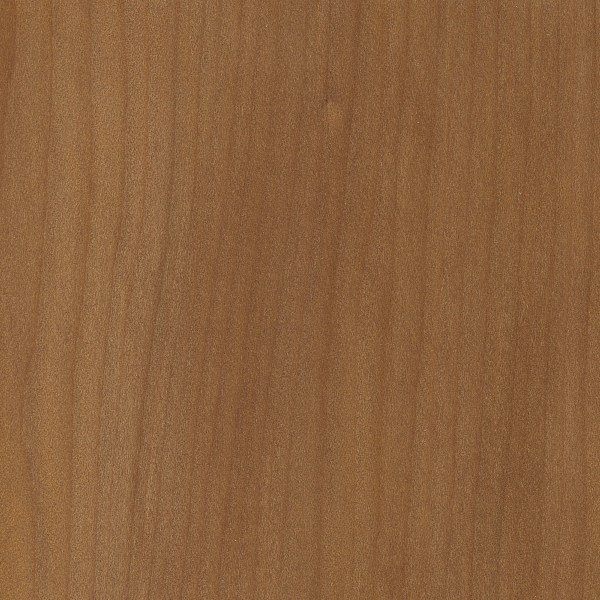 Kauri The Wood Database Lumber Identification (Softwood)
